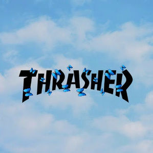 Meet your Posher, Young